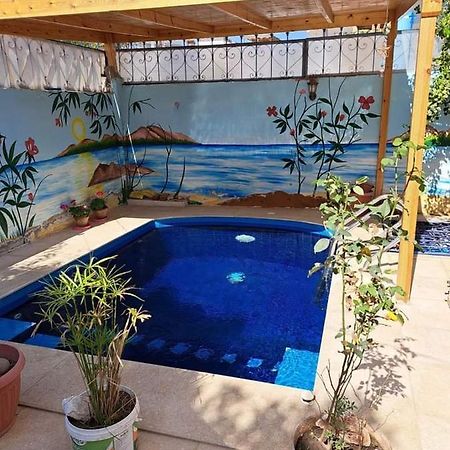 Villa Louise Guest House Луксор Екстериор снимка