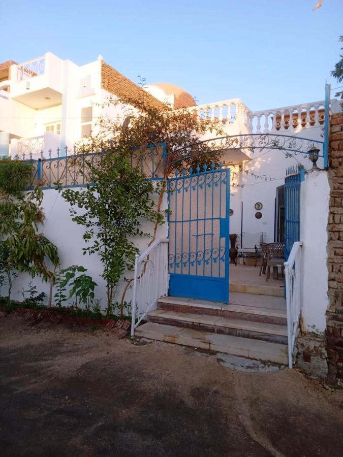 Villa Louise Guest House Луксор Екстериор снимка