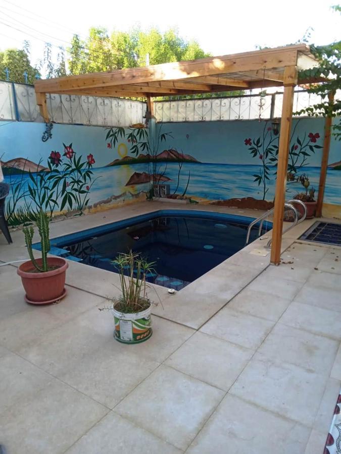 Villa Louise Guest House Луксор Екстериор снимка