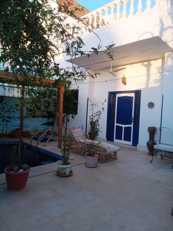 Villa Louise Guest House Луксор Екстериор снимка