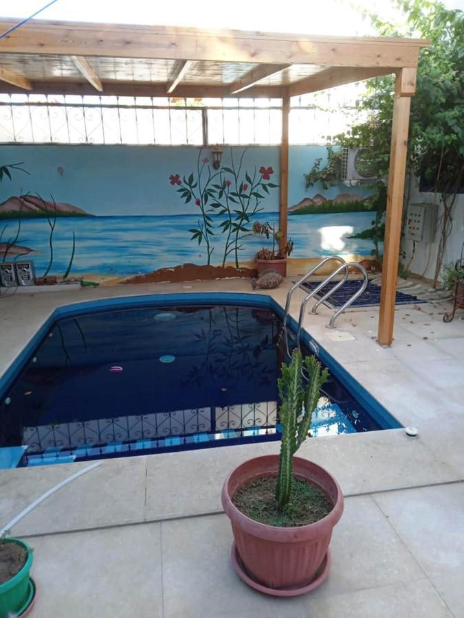 Villa Louise Guest House Луксор Екстериор снимка