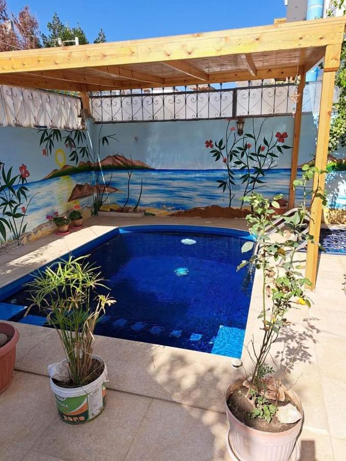 Villa Louise Guest House Луксор Екстериор снимка