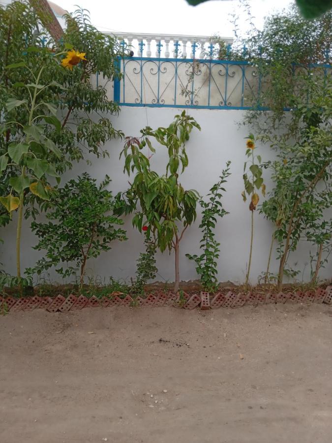 Villa Louise Guest House Луксор Екстериор снимка